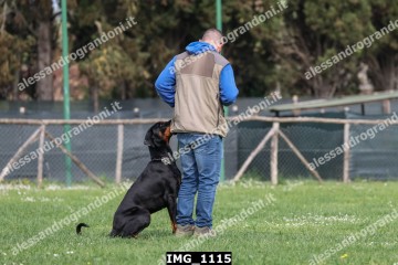 IMG_1115.jpg