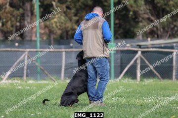IMG_1122.jpg