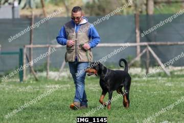 IMG_1145.jpg