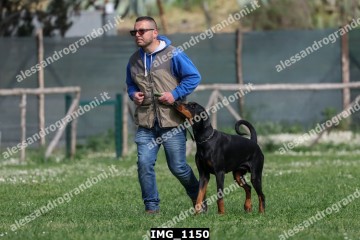 IMG_1150.jpg