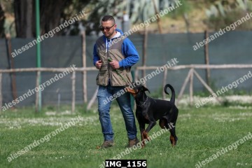 IMG_1156.jpg