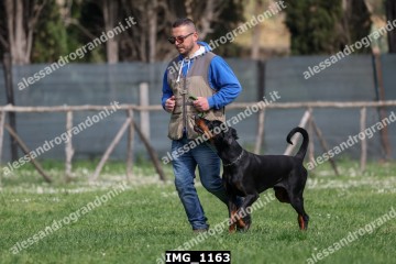 IMG_1163.jpg