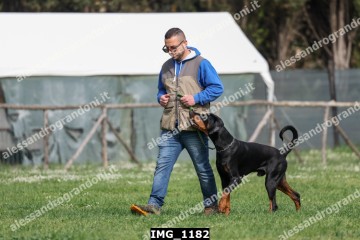 IMG_1182.jpg