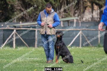 IMG_1186.jpg