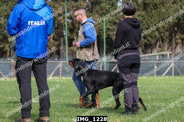 IMG_1228.jpg