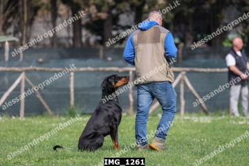IMG_1261.jpg