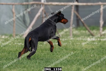 IMG_1338.jpg