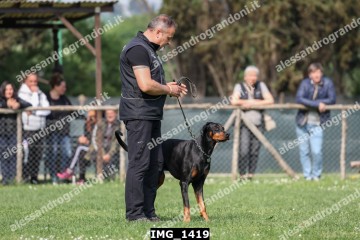 IMG_1419.jpg