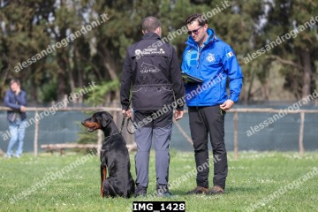 IMG_1428.jpg