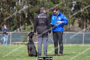 IMG_1434.jpg