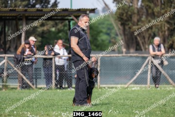 IMG_1460.jpg