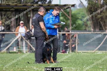 IMG_1487.jpg