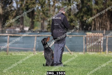 IMG_1503.jpg