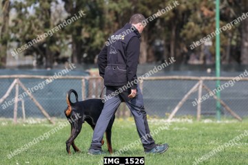 IMG_1526.jpg