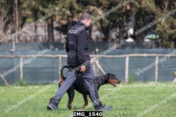 IMG_1540.jpg