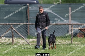 IMG_1555.jpg