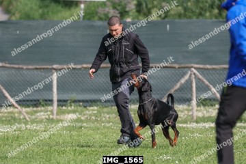 IMG_1565.jpg