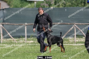 IMG_1568.jpg