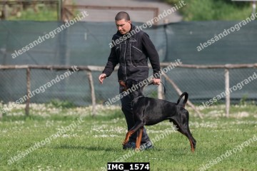 IMG_1574.jpg