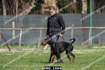 IMG_1594.jpg