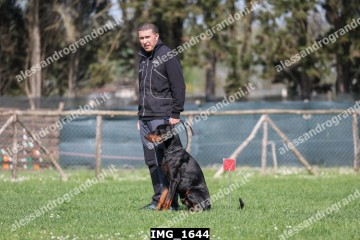 IMG_1644.jpg