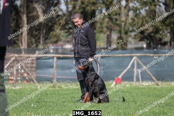 IMG_1652.jpg