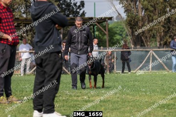 IMG_1659.jpg