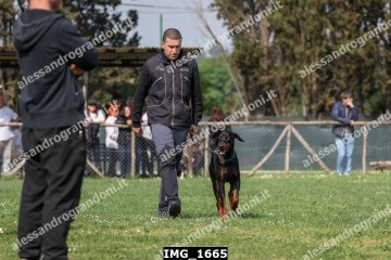 IMG_1665.jpg