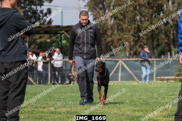 IMG_1669.jpg