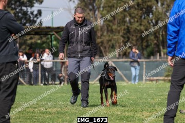 IMG_1673.jpg