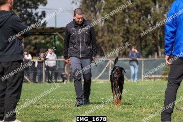 IMG_1678.jpg