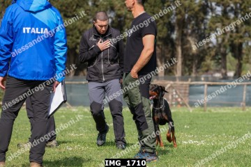 IMG_1710.jpg