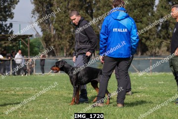 IMG_1720.jpg