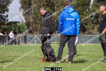 IMG_1726.jpg
