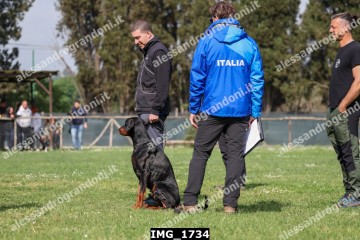 IMG_1734.jpg