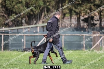 IMG_1752.jpg