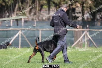 IMG_1760.jpg