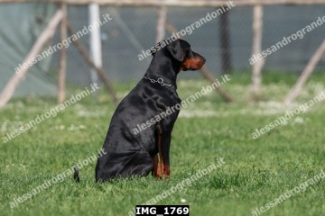 IMG_1769.jpg