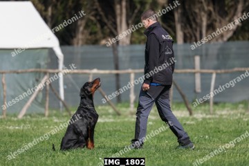 IMG_1802.jpg