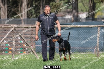 IMG_1842.jpg