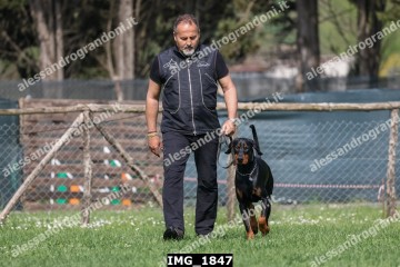 IMG_1847.jpg