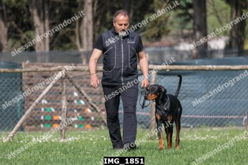 IMG_1851.jpg