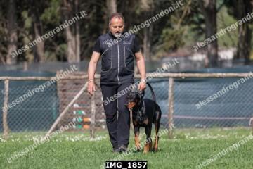 IMG_1857.jpg