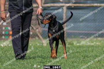 IMG_1867.jpg