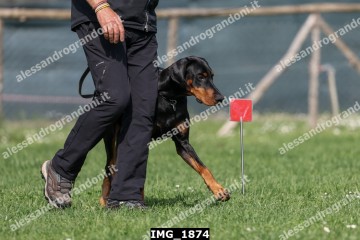 IMG_1874.jpg