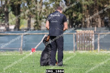 IMG_1884.jpg