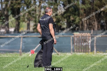 IMG_1891.jpg