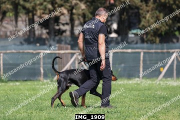 IMG_1909.jpg