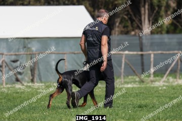 IMG_1914.jpg
