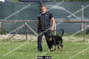 IMG_1920.jpg